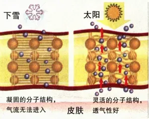 新型服装的温柔攻势2