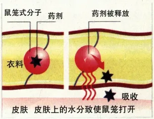 新型服装的温柔攻势3