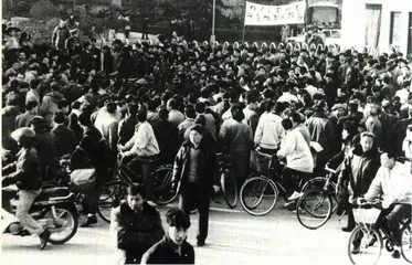 谁能审判张金柱？4
