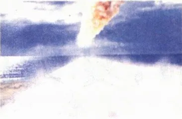 《世界末日》及其他