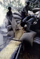 遭遇“过剩时代”2