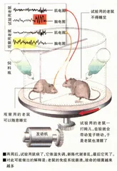 了解睡眠1