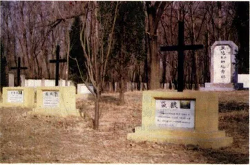 热点追踪：动物保护难当盛名5