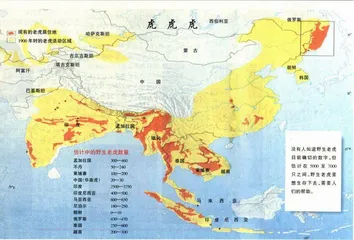 数据库(58)