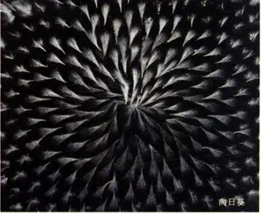 流行文化·流行消费：文化(61)2