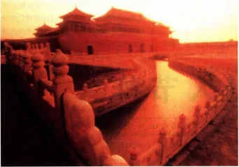 热点追踪：有法可依