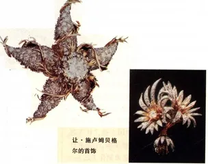 谁能电石成金？3