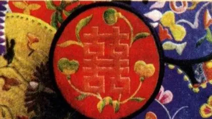 我们结婚吧6