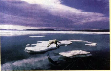 文化·流行(64)5