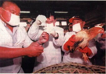 深度报道：医药：健康的“致幻剂”？