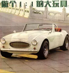 做个1：1的大玩具，不为浪漫