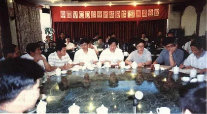 独家披露“VCD圆桌会议”全部内幕 中国VCD：大国不是强国0