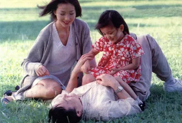 “丁克”家庭与人口结构
