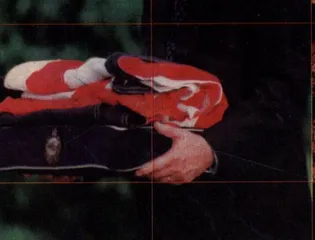 多莉羊·牛肉和1997