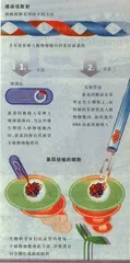 “流奶与蜜之地”？2