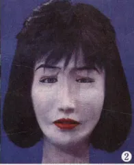 多莉羊·牛肉和199728