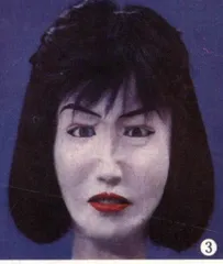 多莉羊·牛肉和199729