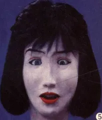 多莉羊·牛肉和199731