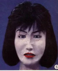 多莉羊·牛肉和199732