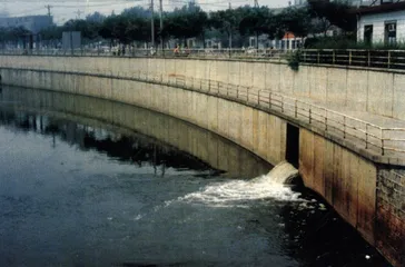 把水赌明天2