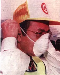 多莉羊·牛肉和199745