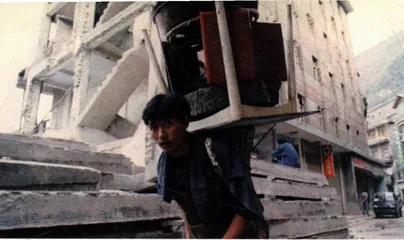 多莉羊·牛肉和199751