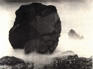 布莱克莫尔：对自然的承诺