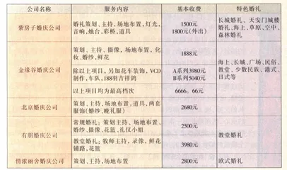 织一个梦想给新娘1