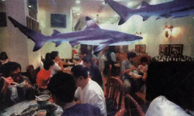 动物消费与人权时代1