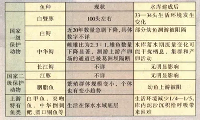 三峡：当惊世界殊12