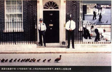 生活扫描(46)