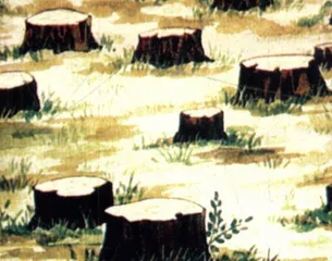 公益广告直面商业社会