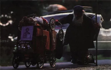 生活扫描(28)