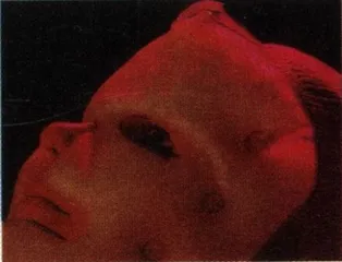 美容的奇迹3