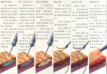 美容的奇迹4