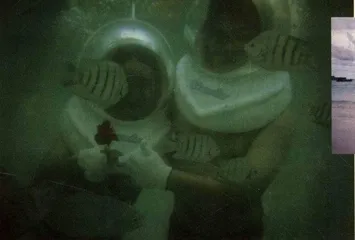 海底婚礼0