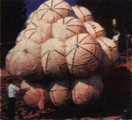 火星——第二个伊甸园？1