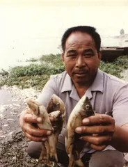 另一种水患1