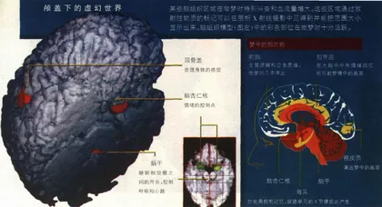 现代科学释梦