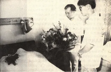 生命与大自然的互证1
