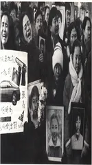 共有的生命1