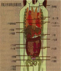 共有的生命3