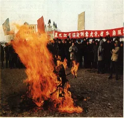 动物王国大杀戮7