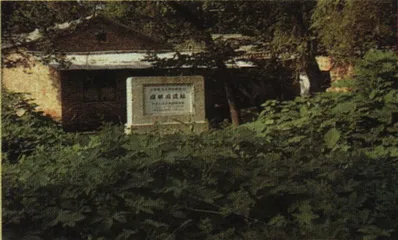复活的废墟4