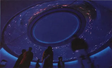 没有墙壁的博物馆3