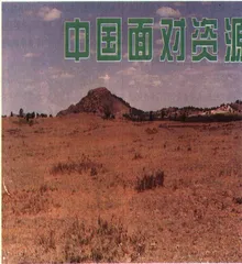 中国面对资源压力