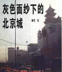 灰色面纱下的北京城