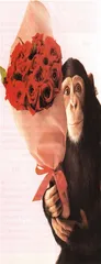 时尚评述（9）