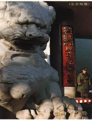 卢泰愚为谁流泪？1
