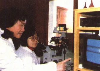 世界银行在中国扮演什么角色3